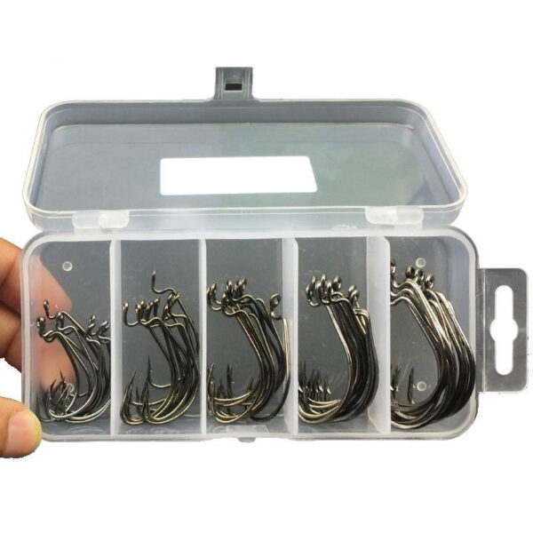 Fishing Hooks Set with Storage Case